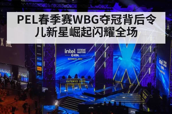 PEL春季赛WBG夺冠背后令儿新星崛起闪耀全场