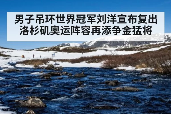 男子吊环世界冠军刘洋宣布复出洛杉矶奥运阵容再添争金猛将
