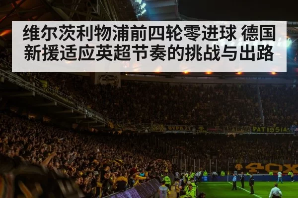 football stadium crowd atmosphere